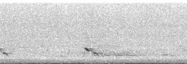 Streifenpanthervogel - ML48520
