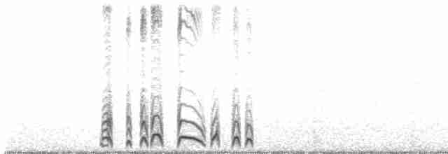 白腰叉尾海燕 - ML485217241