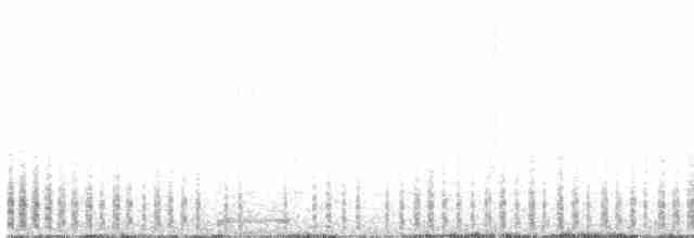 白腰叉尾海燕 - ML485218141