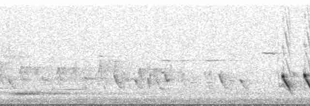 Streifenpanthervogel - ML48524