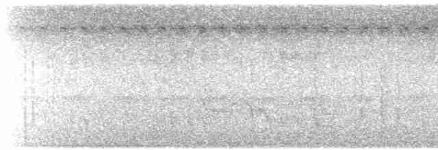 Речной певун - ML485250351