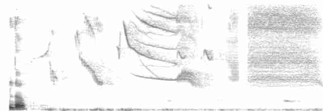 Long-tailed Meadowlark - ML485250871