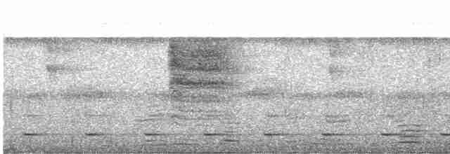 Perlita Cejiblanca - ML485275201