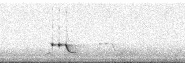 Streifenpanthervogel - ML48529