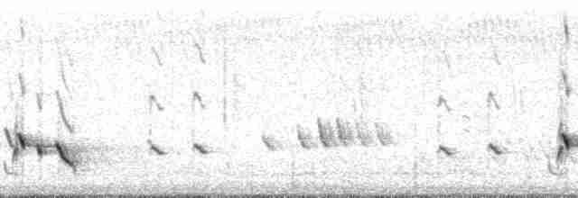 Streifenpanthervogel - ML48530