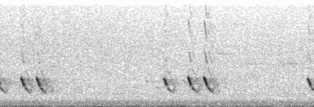 Çizgili Panterkuşu - ML48535