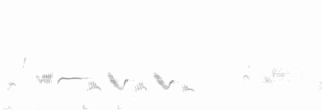 Western Orphean Warbler - ML485370701