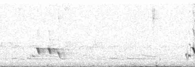 Streifenpanthervogel - ML48538