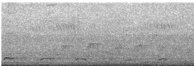 Schwarzschwanz-Lärmvogel - ML485398861