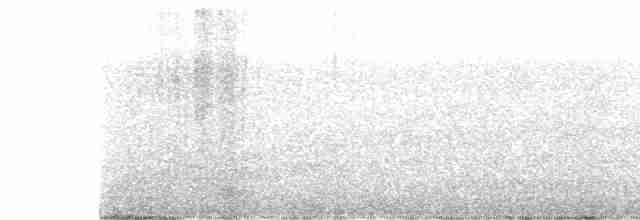 Тиранчик-короткодзьоб південний - ML485445201