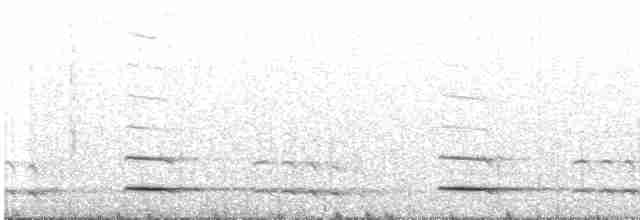 Сичик-горобець євразійський - ML485518191