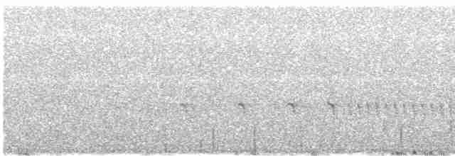 Chaparralgrasmücke - ML485557561