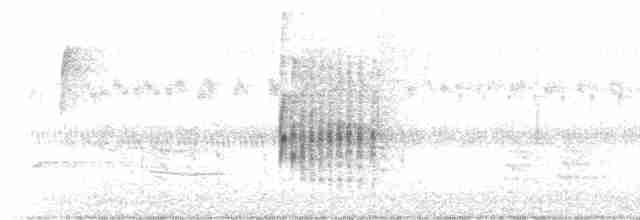 Каролинский крапивник - ML485616191