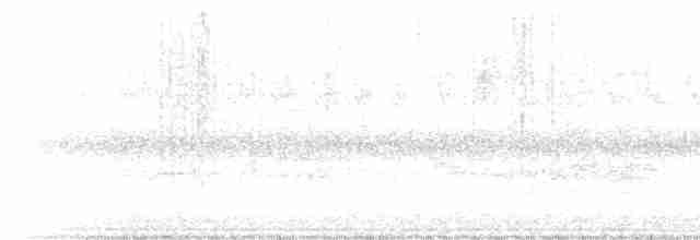 lesňáček černohlavý - ML485616461