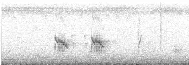 Кратеропа смугастоголова - ML485635031