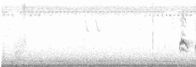 Кратеропа смугастоголова - ML485635051