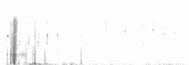 Темнохвостая болария - ML485685611