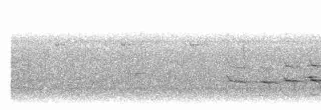 Kara Karınlı Karıncakuşu - ML485687671