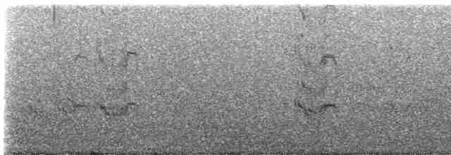 Roseate Tern - ML485765181