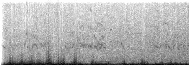 Roseate Tern - ML485765211