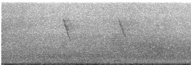 Kupfernektarvogel - ML485804671