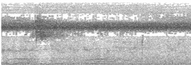 holub rusoocasý - ML485888061