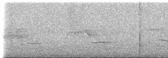 orel černobílý - ML485926391