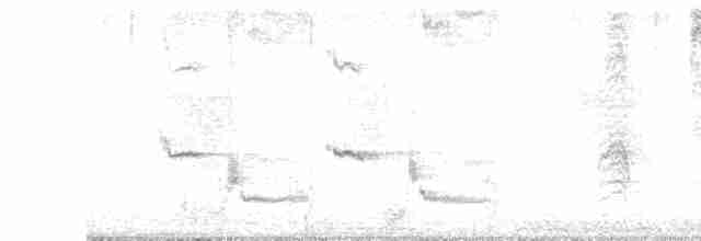 Длинноклювый пересмешник - ML485951201