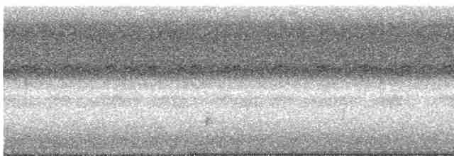 Дрізд-короткодзьоб Cвенсона - ML485969871