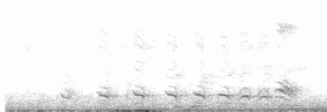 Barred Antshrike (Barred) - ML485972601