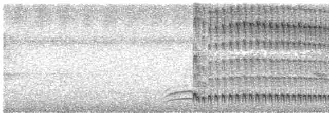 Тиран-інка буроголовий - ML486059831