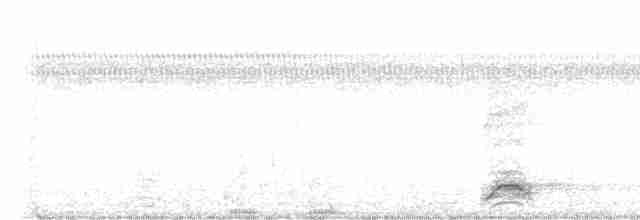 Black-crowned Night-Heron - ML486059851