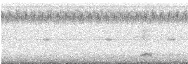 Black-crowned Night-Heron - ML486067661