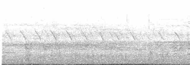Лайсанский чирок - ML486070131
