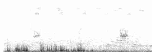 Çizgili Kumkuşu - ML486082211