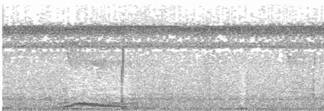 holub temnokřídlý - ML486082971