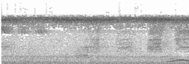 holub temnokřídlý - ML486087701