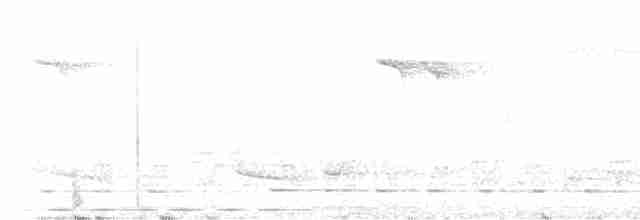 African Dwarf Kingfisher - ML486128121