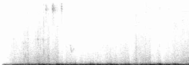 flekkstrupekolibri - ML486131401
