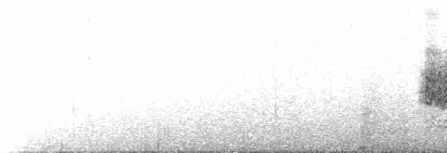 Black-lored Yellowthroat - ML486132411