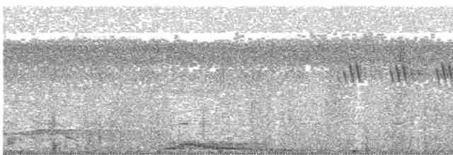 holub temnokřídlý - ML486136071