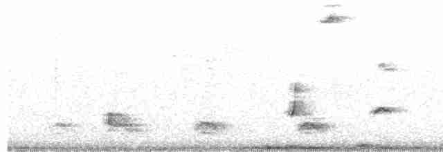 tyranovec vrbový - ML486174591