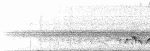 Rufous-browed Peppershrike (Northern) - ML486214541