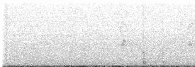 strakapoud kokardový - ML486234901