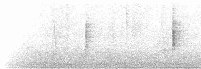 Common Yellowthroat - ML486246901