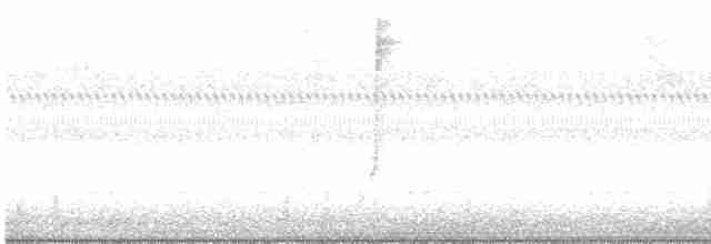 Connecticut Warbler - ML486247981