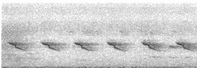 Tamatia rayé (striata) - ML486320121