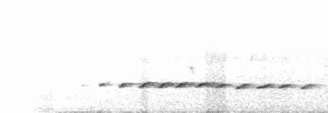 Bubú Oliváceo - ML486341521