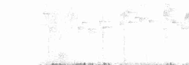 Черноухая корольковка - ML486349021