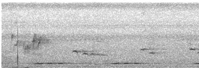 Sonnerat Yaprakkuşu - ML486368211
